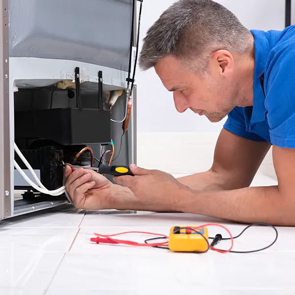 Fridge Servicing